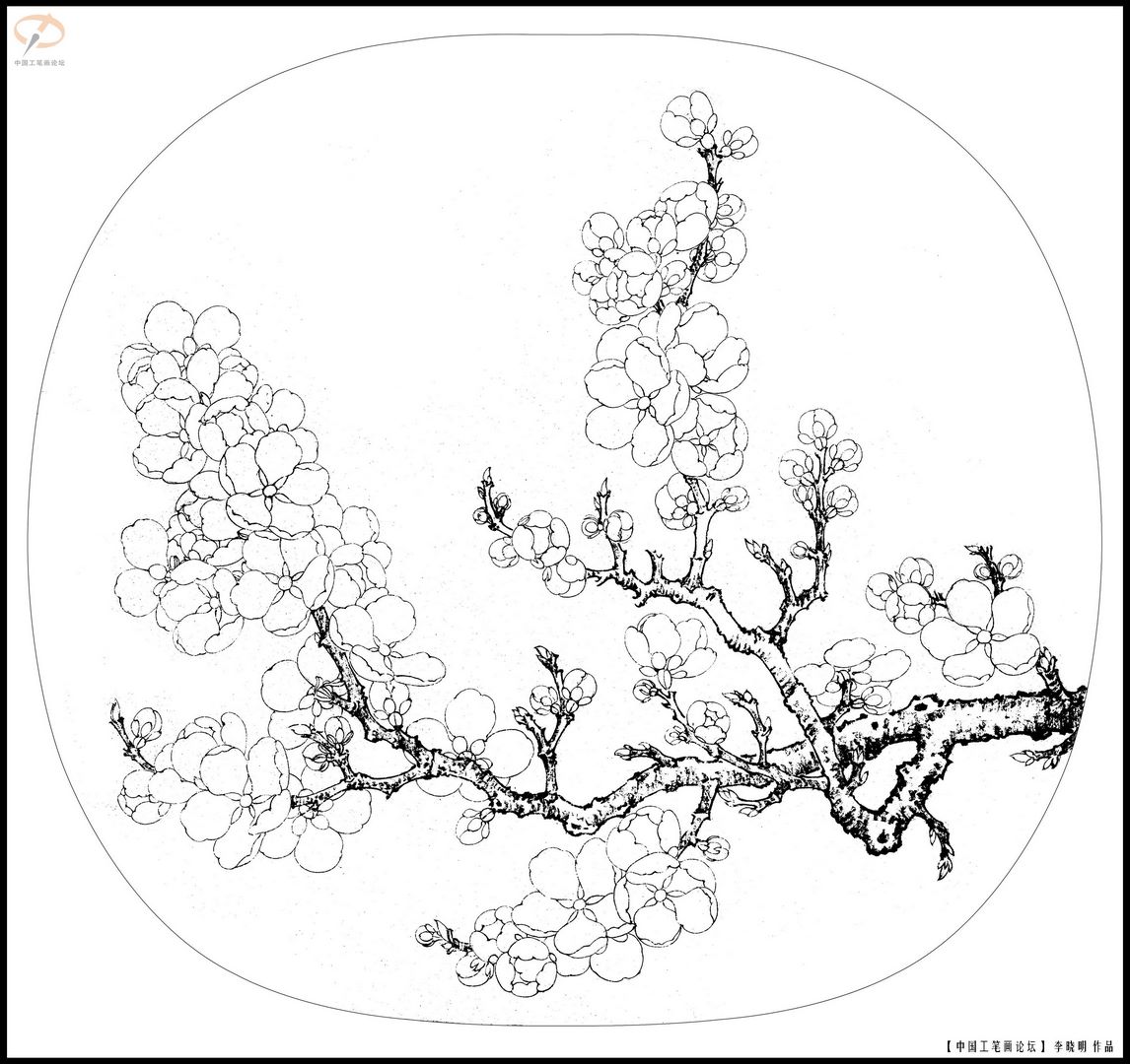 《临宋写生杏花图》白描底稿临摹素材