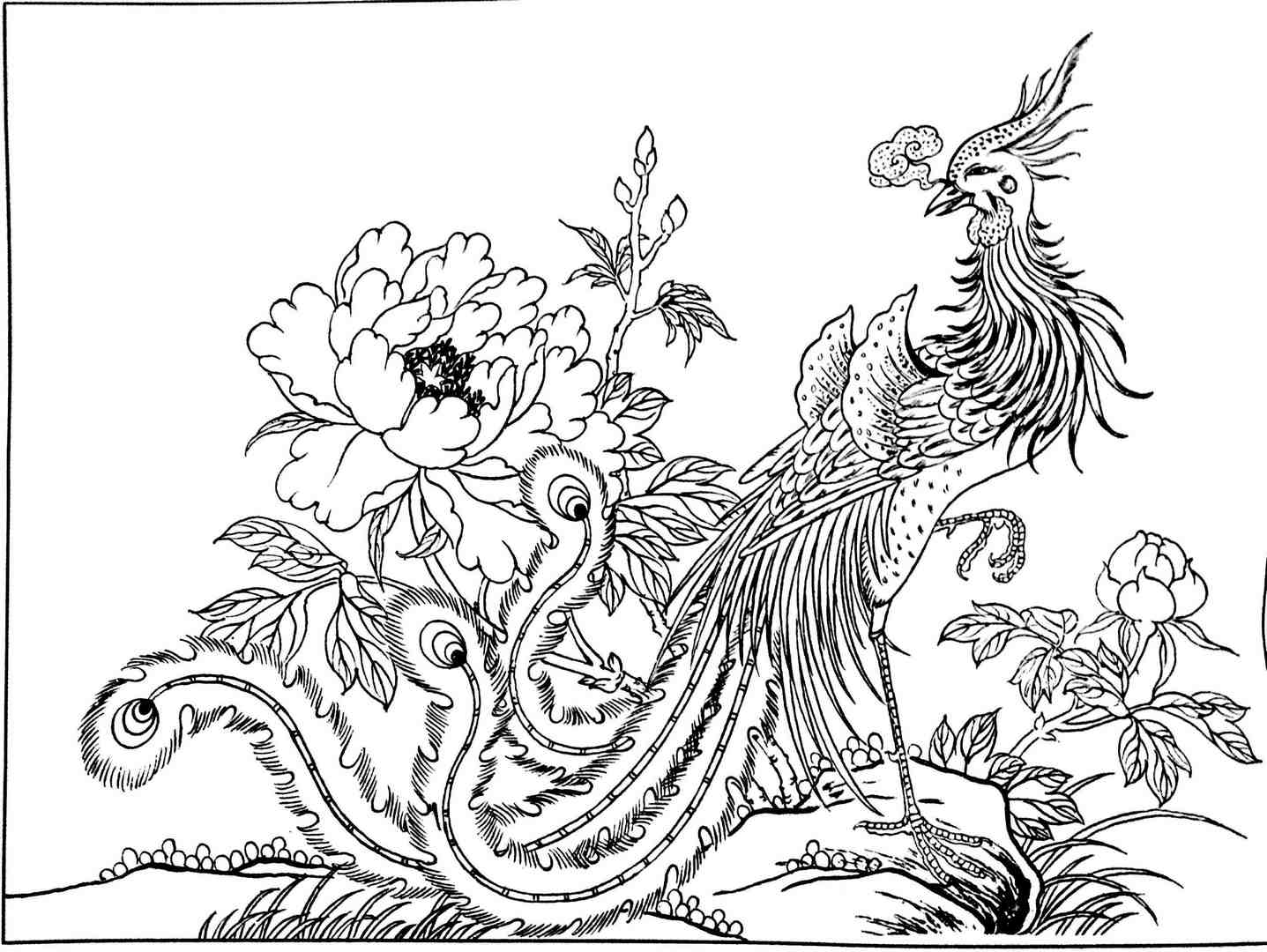 《凤穿牡丹》白描线稿绘画临摹素材