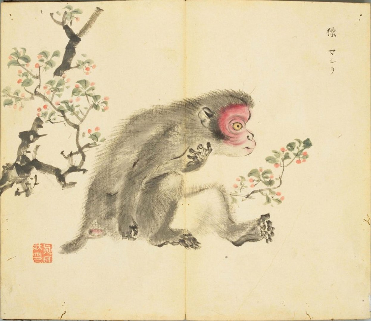 千年古文化诗经名物图解