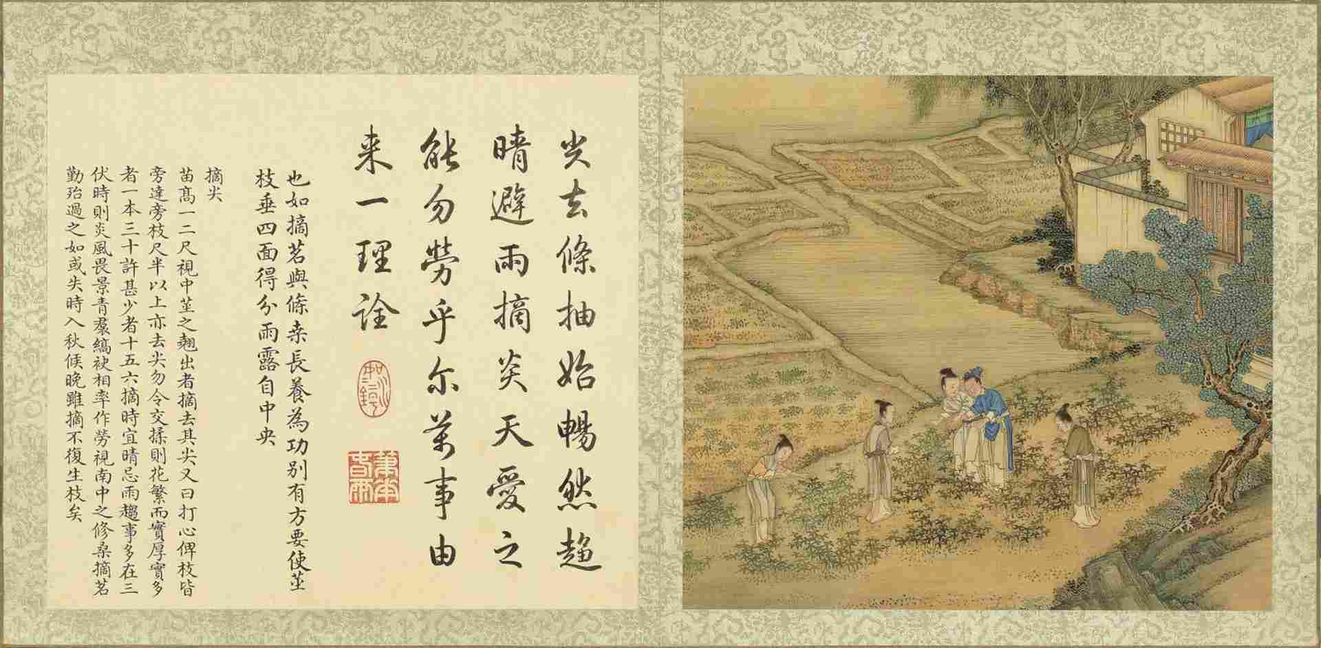 清·方观承《御题棉花图》高清图册