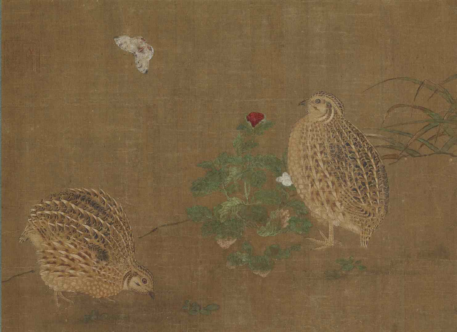 明代传李安忠鹌鹑图绢本高清