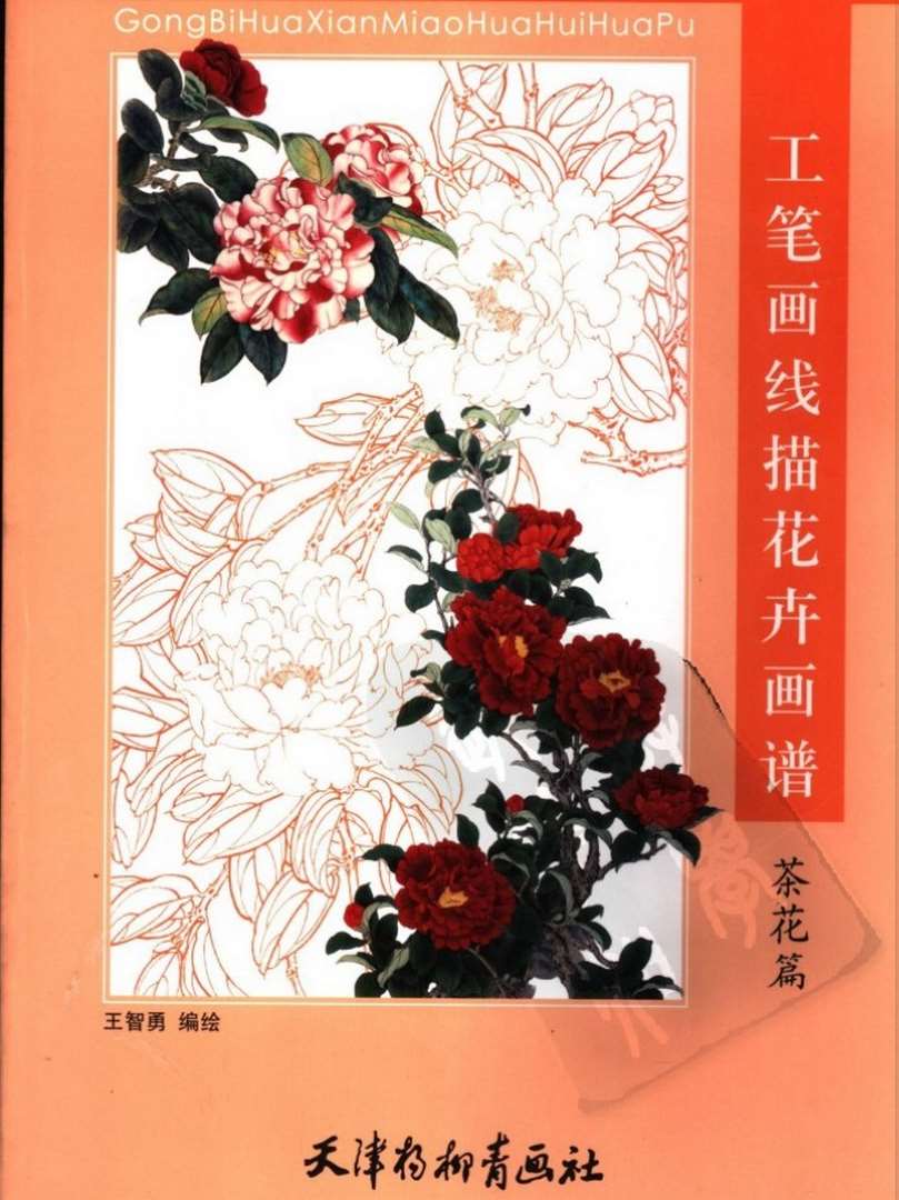 工笔画线描花卉画谱.茶花画册