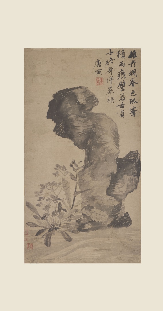 明代唐寅立石丛卉图高清纸本