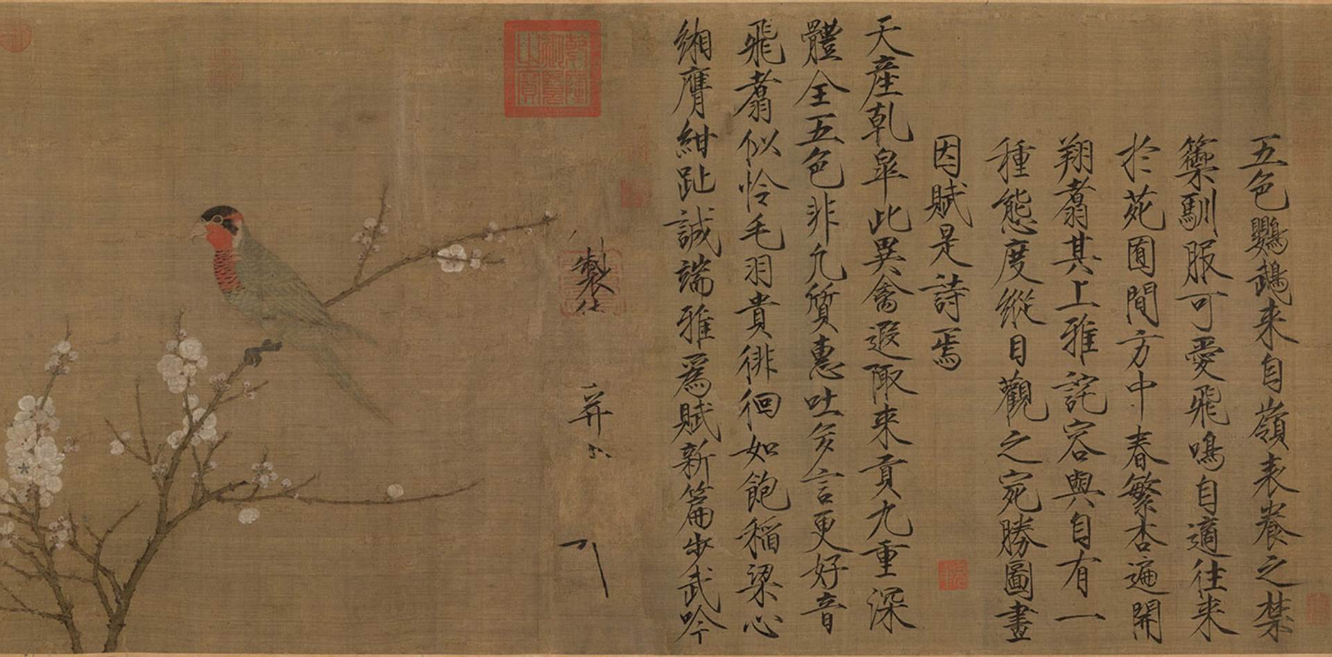 宋赵佶五色鹦鹉图画心高清绢本