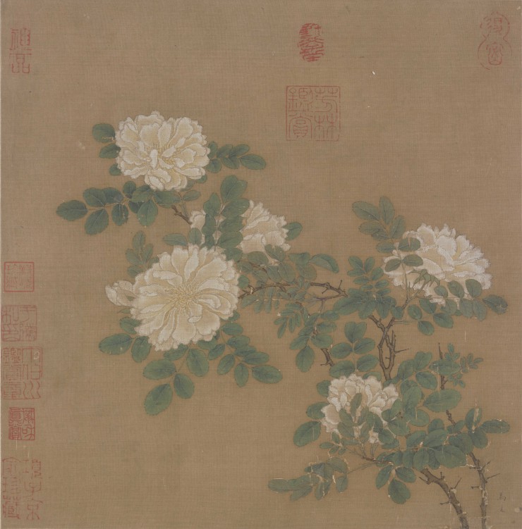 南宋马远白蔷薇图页高清纸本