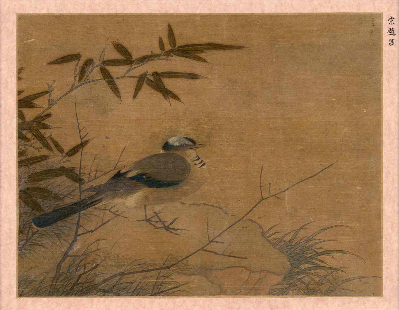 北宋赵昌鸟图册页高清绢本