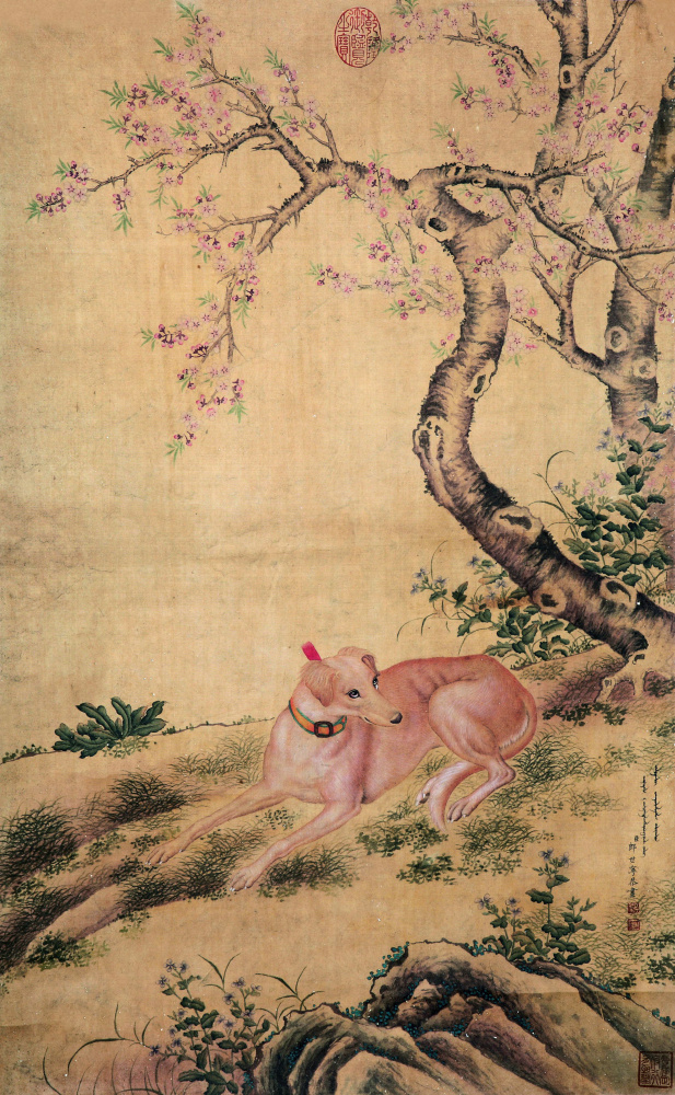清郎世宁卧犬图超清绢本