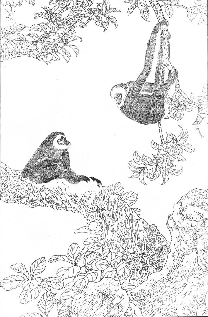 宋代工笔花鸟枇杷猿戏图