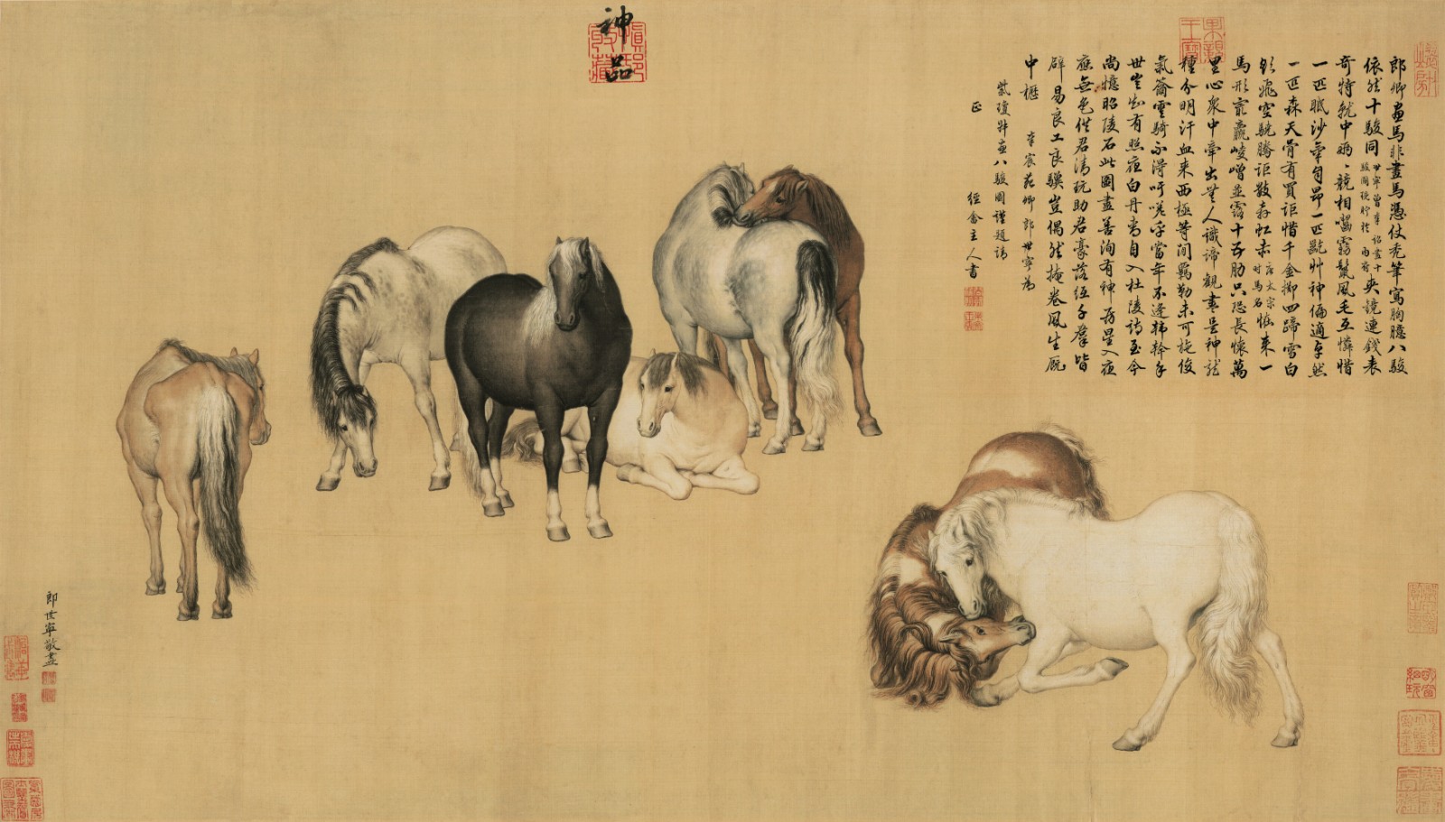 清郎世宁八骏图卷超清纸本