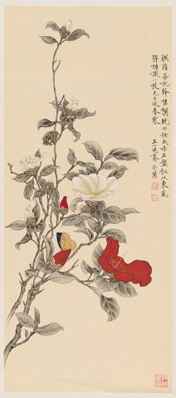 清于非闇红白茶花轴超清纸本
