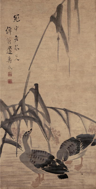 清边寿民芦雁图立轴超清纸本